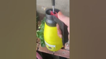 Bình xịt phun sương