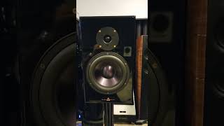 Gershman Acoustic Gershman Acoustic