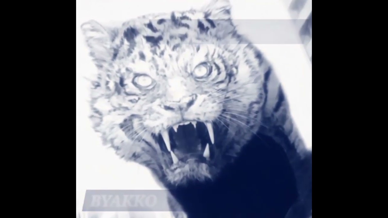 ENBOR ARNASA "Byakko agertu da". 🌏😎🤟🏻🌍