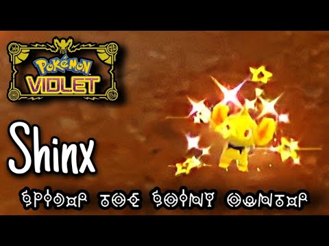 Pokemon Violet~ Shiny Shinx & Evolutions (Herba Mystica)