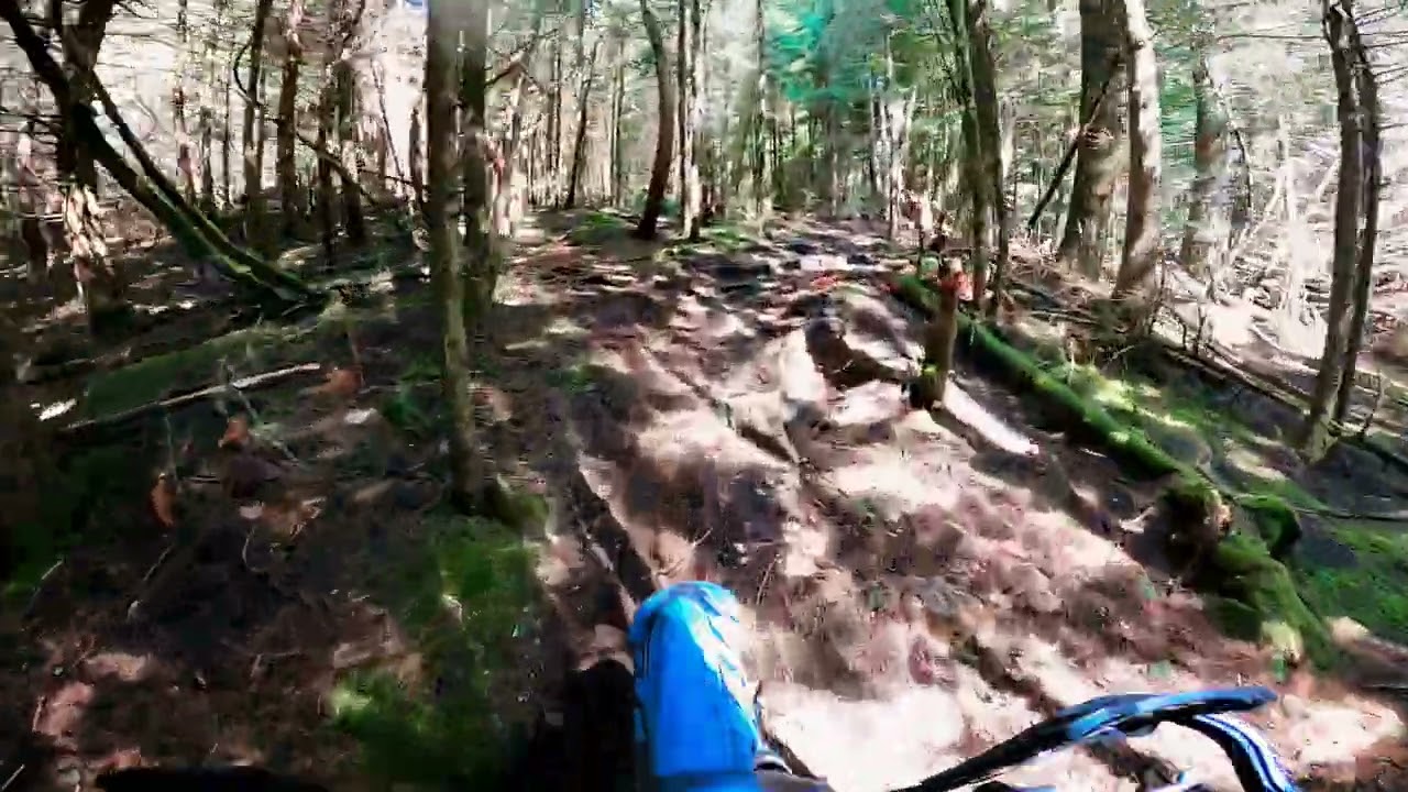 T.T.T.N.W.  hope BC            May 24, 2022