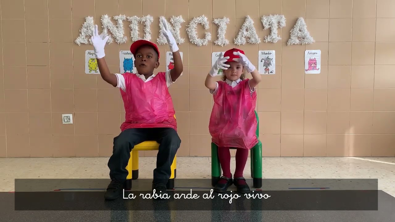 CUENTO MONSTRUO DE COLORES LSE