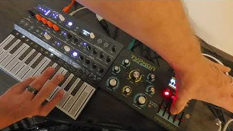 (Part 2) Microfreak and Typhon Arp-Sequencer Pair