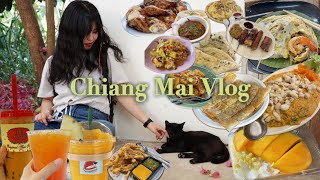 ซับ [Travel vlog] 3 คืน 4 วัน ทริปเชียงใหม่ | ทัวร์ดอยอินทนนท์ / ตลาดกลางคืน / วนคังวัด