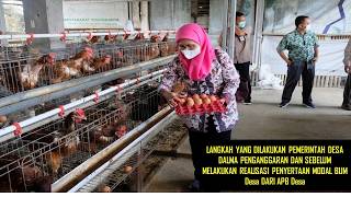 Proses Penganggaran Dan Merealisasikan Penyertaan Modal BUM Desa Dari APB Desa