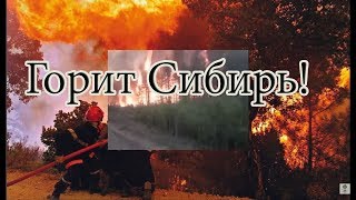 Горит Сибирь: общая площадь пожаров - около 3 миллионов  гектаров