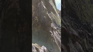 8k Natural Wonder Close-up at Zion Weeping Rock #utah #zionnationalpark #zion
