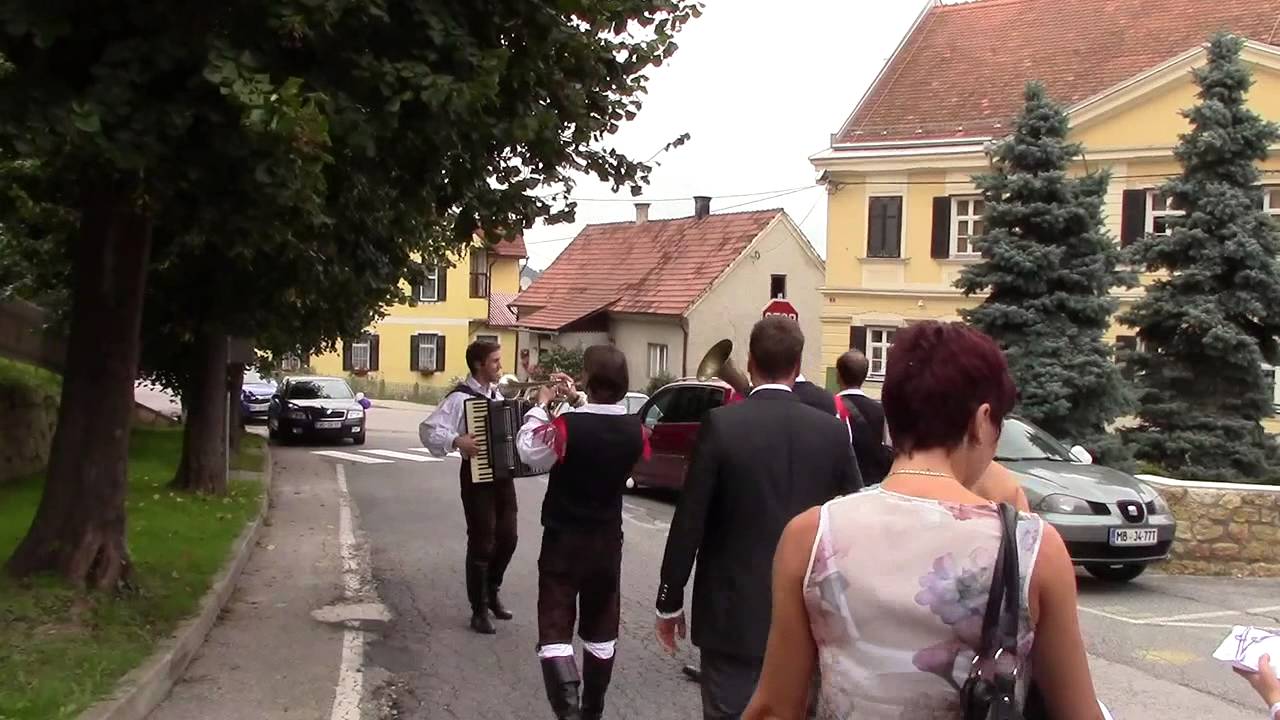 Ansambel Saša Avsenik performing at a WEDDING - August 23, 2014