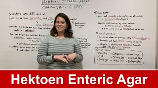 Hektoen Enteric Agar (HEK agar)