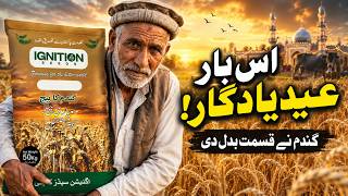 Pakistani Farmer Success Story | IGNITION SEEDS Ki Taraf Se Eid Mubarak