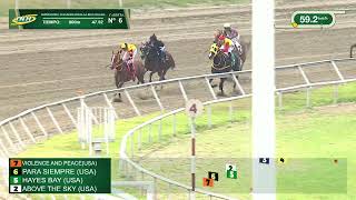R341 | Violence And Peace (USA) | La Rinconada Racetrack | Meeting 30 | 2026