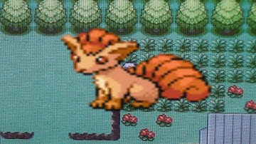 How to find Vulpix in Pokemon Leaf Green