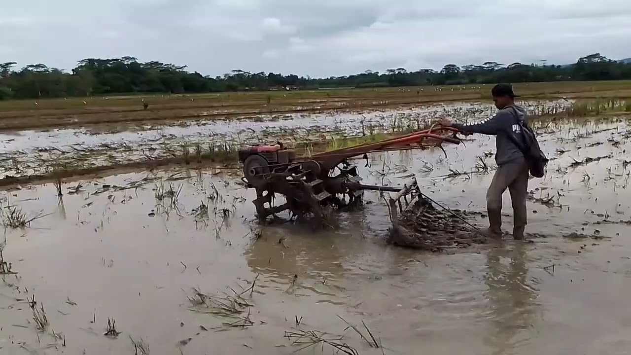 Traktor Sawah Garap Lahan Lumayan Dalam Jadi Memper Cepat Pekerjaan