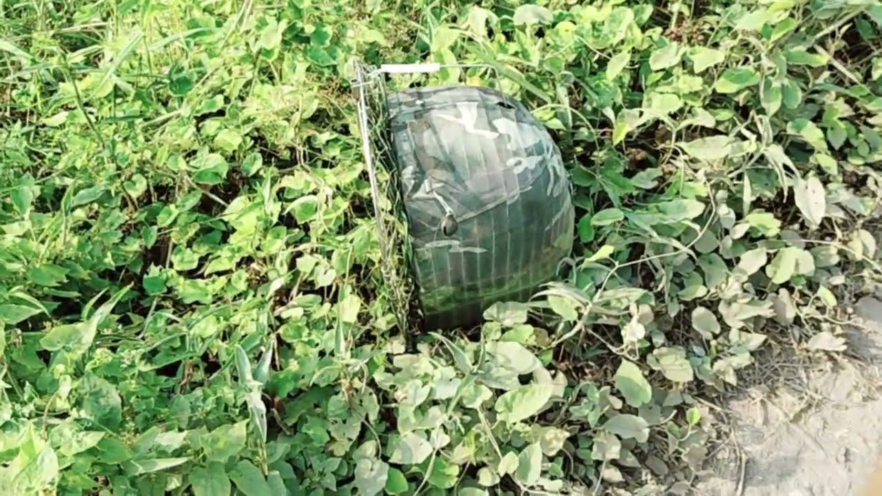 Giao Lưu Kèo Đầu Năm 