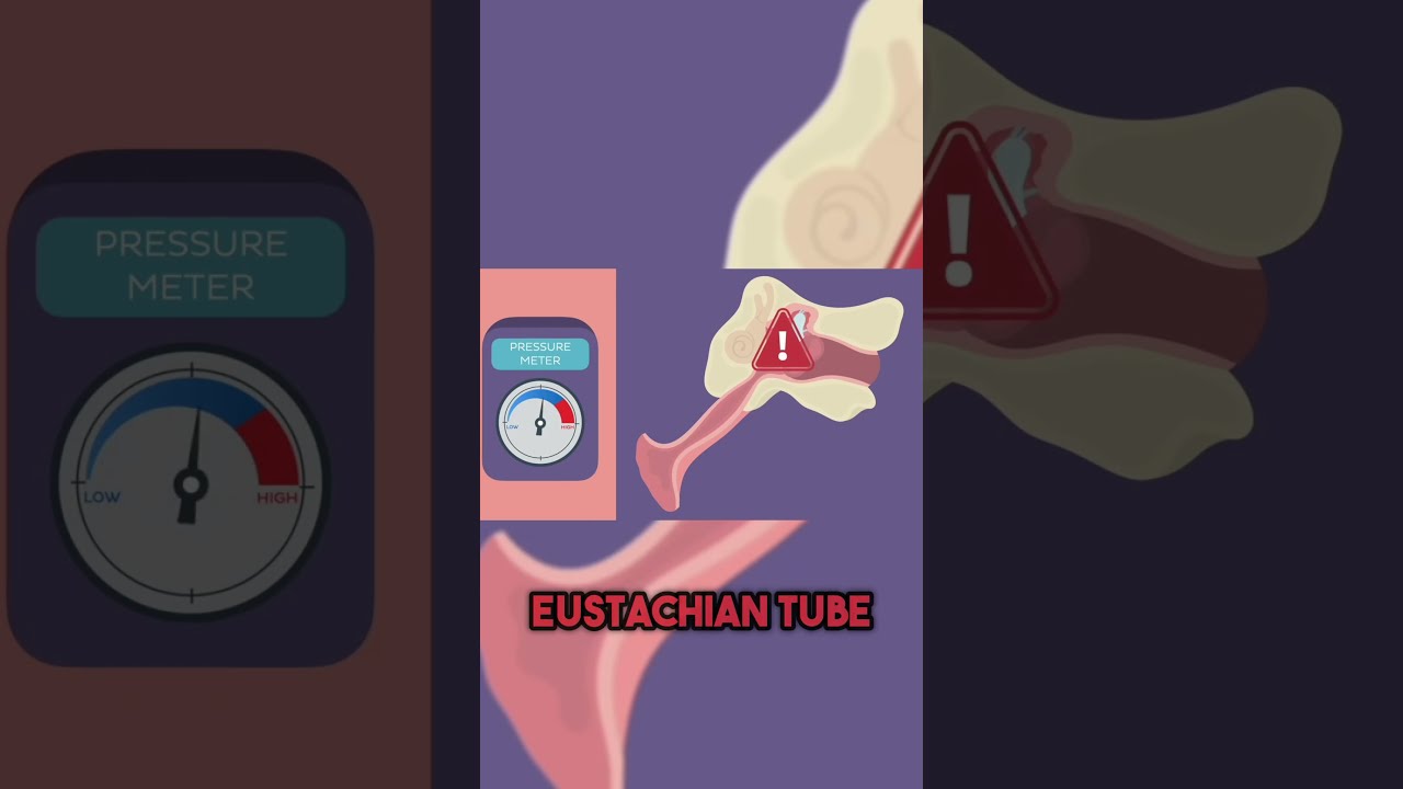 Muffled Hearing And Ear Pain Curable Loss Series
