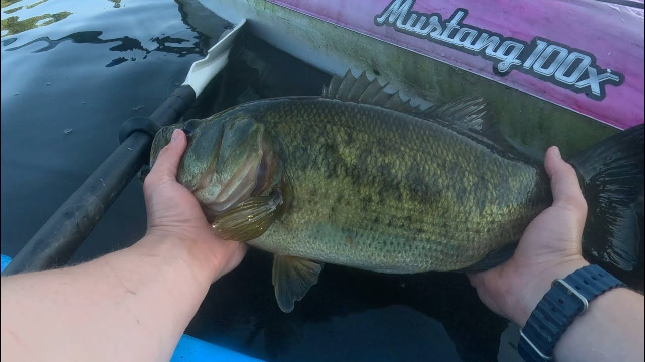 Big bass 4.85 lB on the Kayak