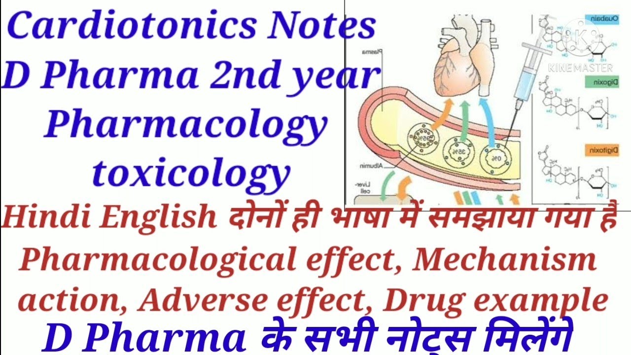 Cardiotonic Notes D pharma 2nd year pharmacology toxicology Mechanism action दोनों भाषा में समझाया