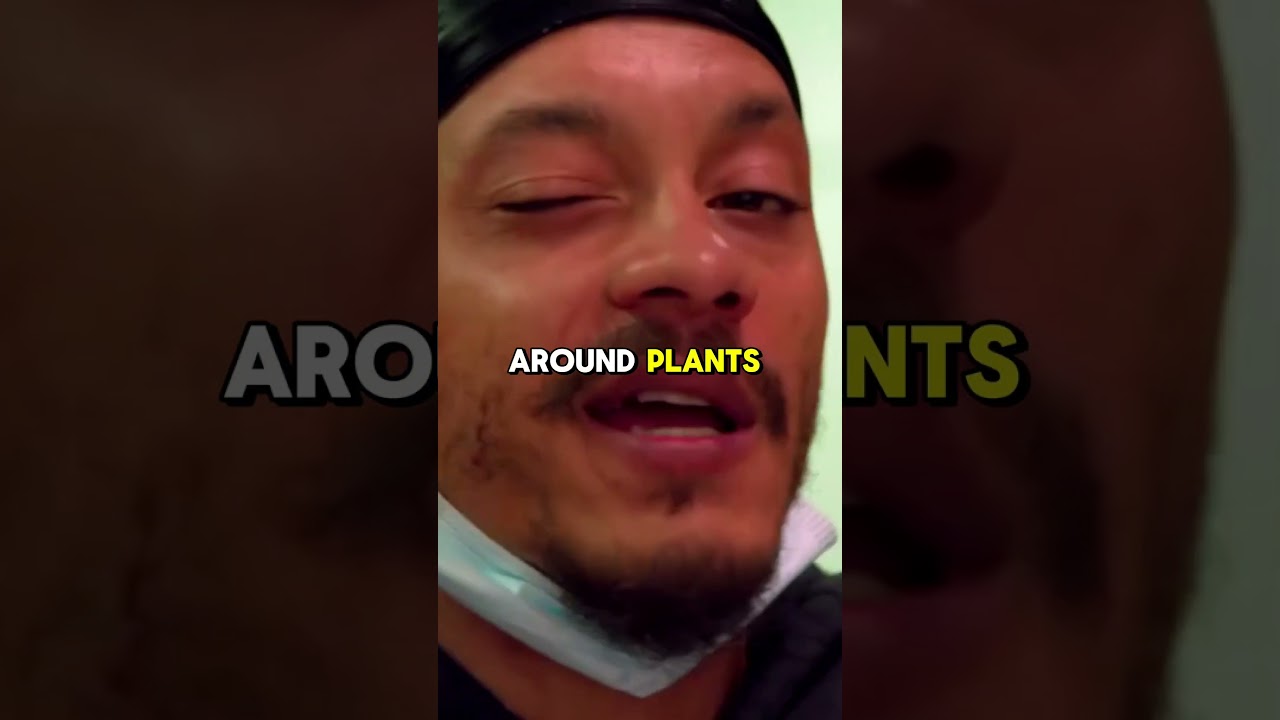 Sublime's Promising New Cannabis Batches! 