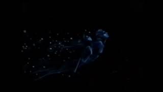 Closing Vhs sea Prince And The Fire Child