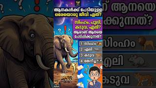 #malayalamgk #simplegk #gkspark #gk #quiz #keralapsc #psc #pscdiscussion #pscquiz