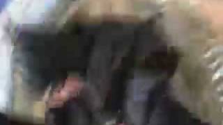 Rod Skydive 2 Jump.mov