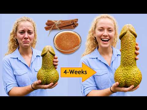 This Ancient Drink Is Going Viral Worldwide | Try This Recipe