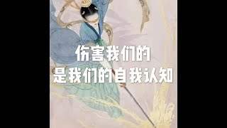 201603 伤害我们的是我们的自我认知21711