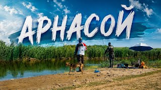 Арнасой балик ови 2 қисм