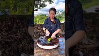 চিনকি ধরে নিয়ে এসেছে হুলো ব্যাঙ রান্না করে খাওয়ালাম #short #ytshort