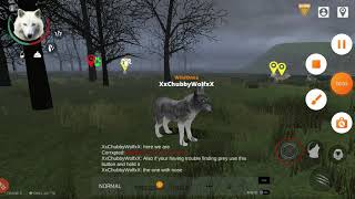 Tutorial for Wolf Online 2 (First Video) ❤