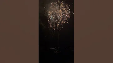 CLE14015 Chili Fireworks 2024 Sample 1 4g Pro Cake 