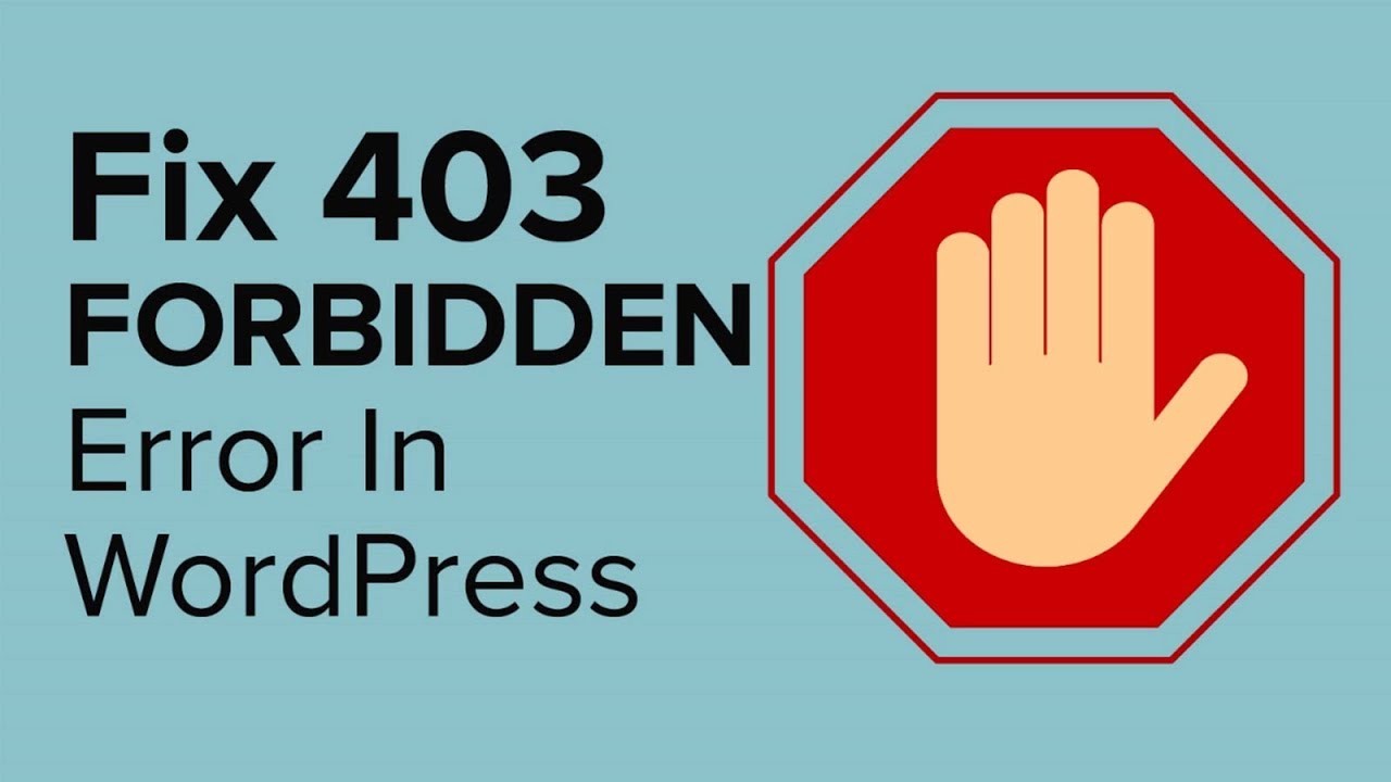 403 Forbidden” Error - What is It and How to Fix It? - SiteGround KB