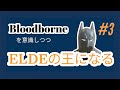 ブラッドボーンを意識しつつエルデの王を目指す #3