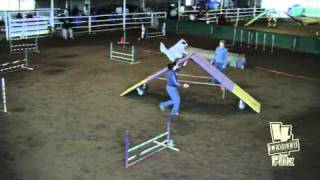 Sierra - Sun Jackpot Level 45C - Fun Paws CPE April 2010.mov
