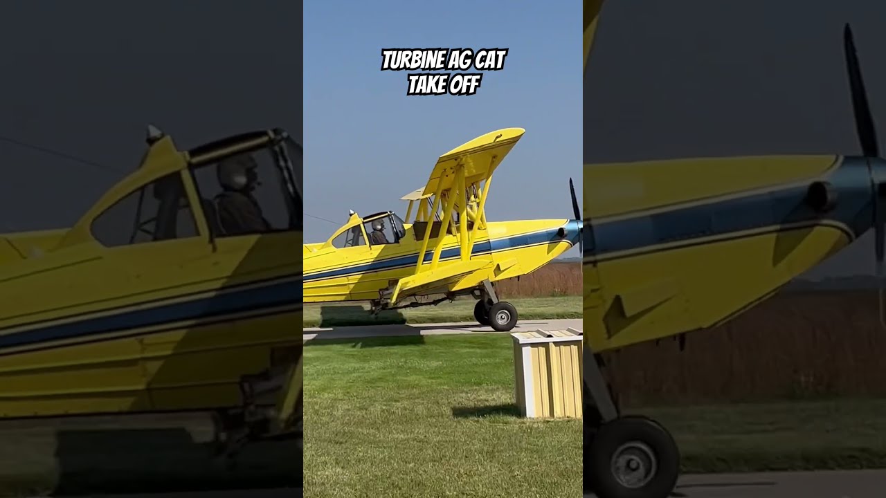 Grumman G164b Ag Cat Pratt Whitney PT6 Aviation Farming Shorts
