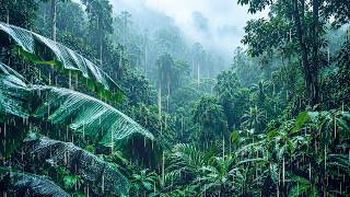 ( No Ads )🌧️ Real Heavy Rain & Powerful Thunderstorm  🌧️ Natural Forest Rain ASMR for Deep Sleep