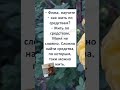 😂😂#юмор #смешновидео #смешнойшортс #АНЕКДОТ про ФИМУ и МОНЮ 👨🏻🦰👨🏻 #Shorts