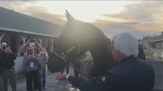 Churchill Downs suspends trainer Bob Baffert