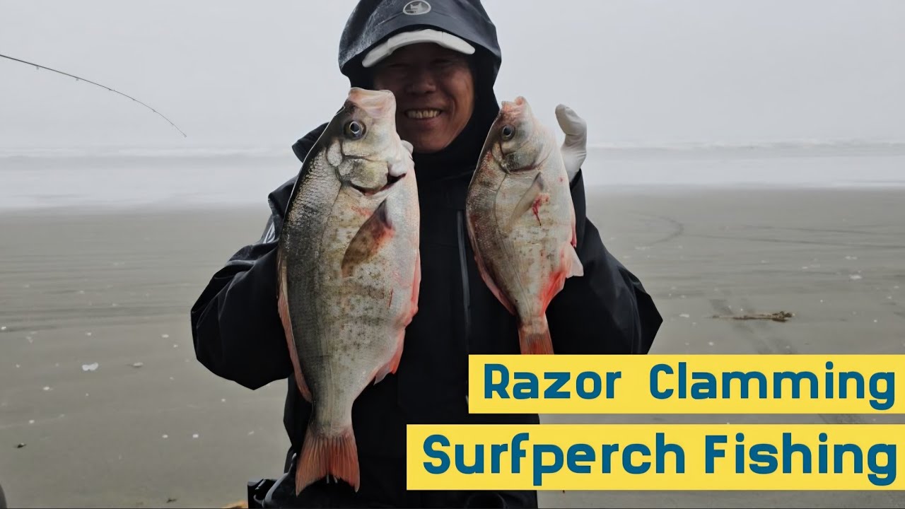 Epic Razor Clam Digging & Surfperch Fishing on Washington Coast | Bald Eagle’s Rare Hunt!