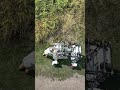 Robot Weeding