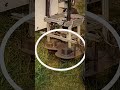 Robot Weeding