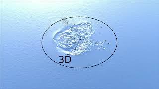 Fast-forward EG22 Coupling 3D Liquid Simulation with 2D Wave Propagation for Water Surface Animation Profile