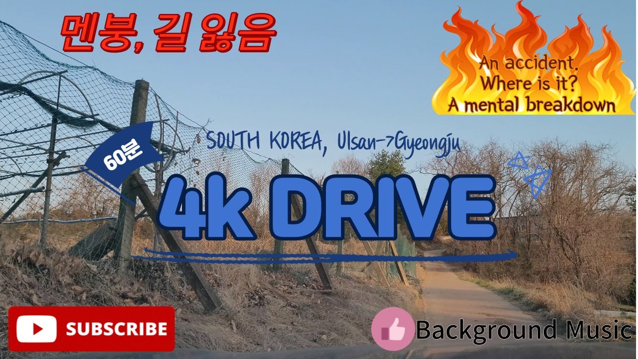4k-drive-korea-diary-race-ulsan-costco-accident-mcdonald-s-lost