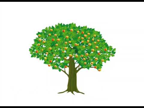 Фруктовий сад - YouTube