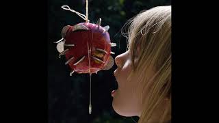 Puce Mary - The Size Of Our Desires [PAN87]