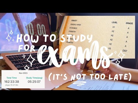 the ultimate exam