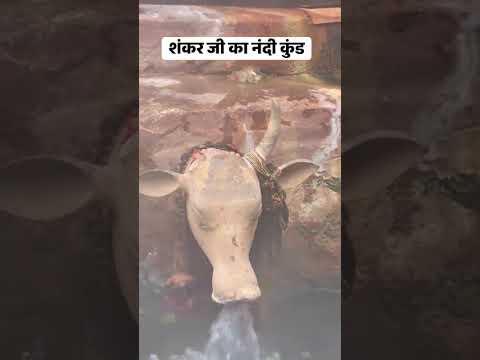 गरम कुंड शंकर जी के नंदी जी के मुख से पावन जल आता हुआ ......... Jai Gurudev Travels Haridwar
