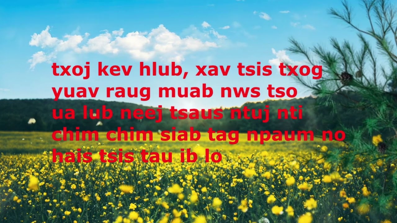 Xav Tuag Sawv Ntsug -  Nplooj Hawj  - KAKAOKE