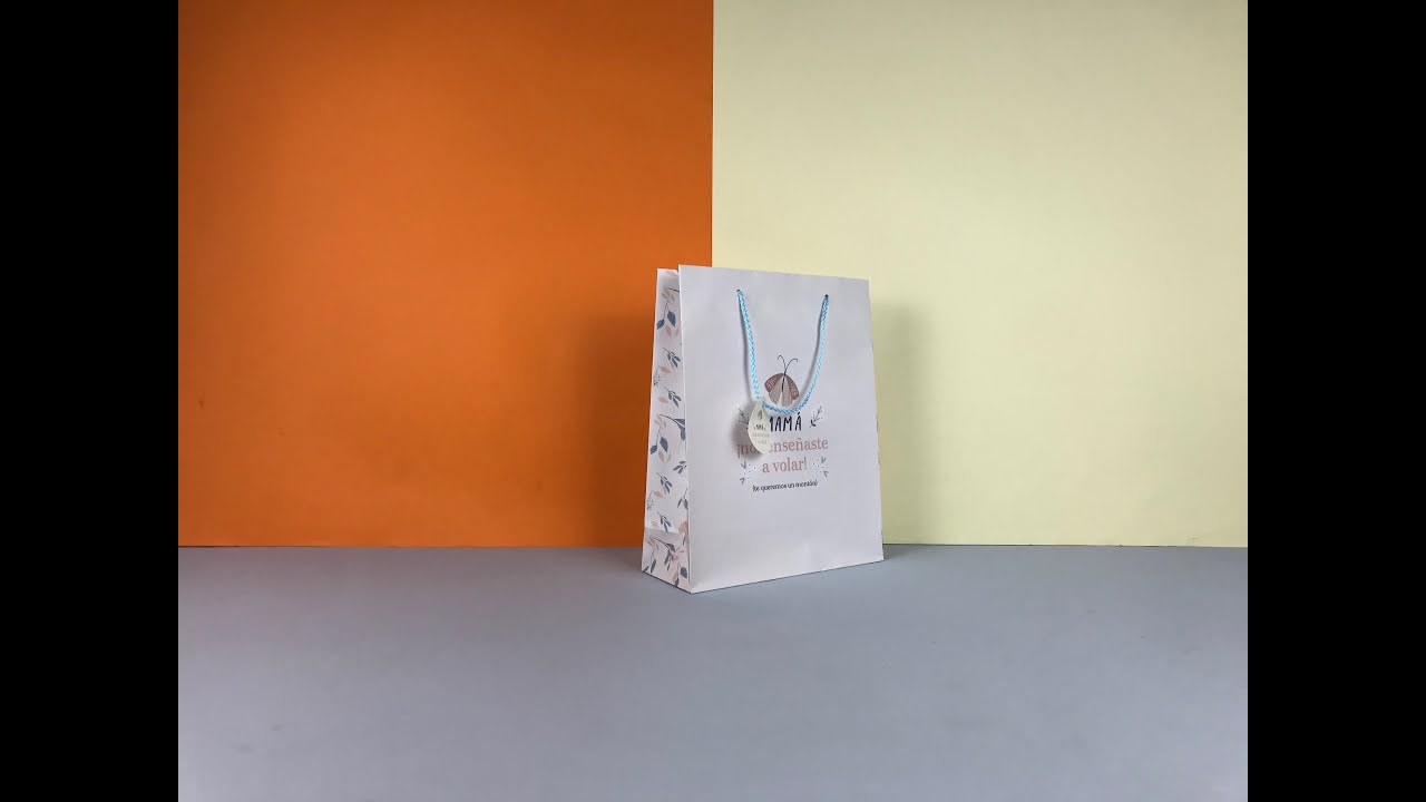 Custom Retail Gift Bags-Coated Paper Retail Gift Bags With Handles for Party 