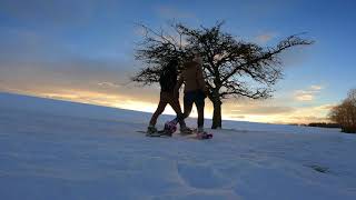 Schneeschuhwandern Schienerberg - Winterwonderland Im Hegau 4K